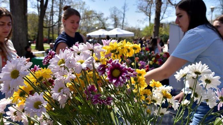Students give out flowers at Ag Awareness Day 2023